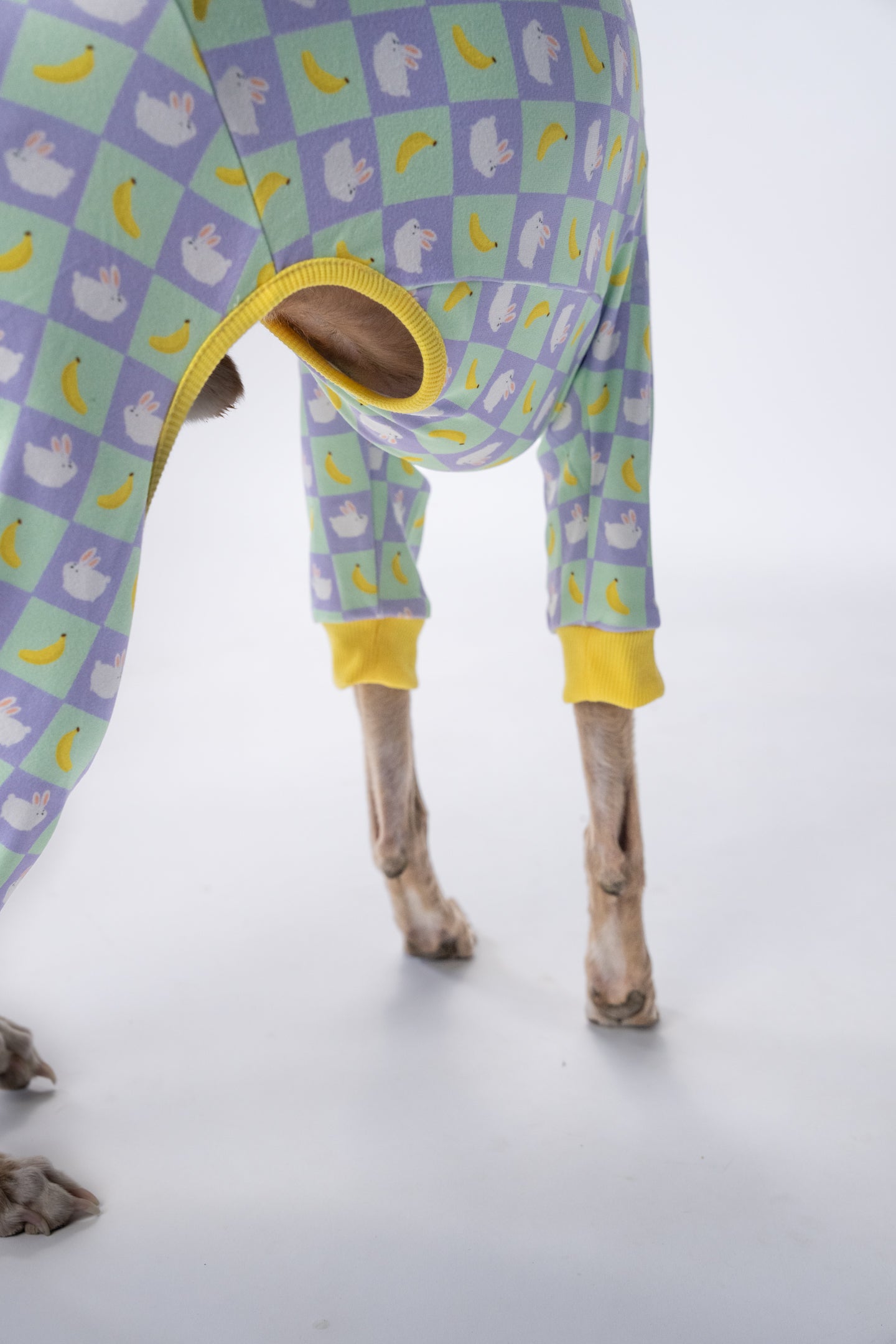 Dog base layer indoors modeled by a whippet in check pattern.