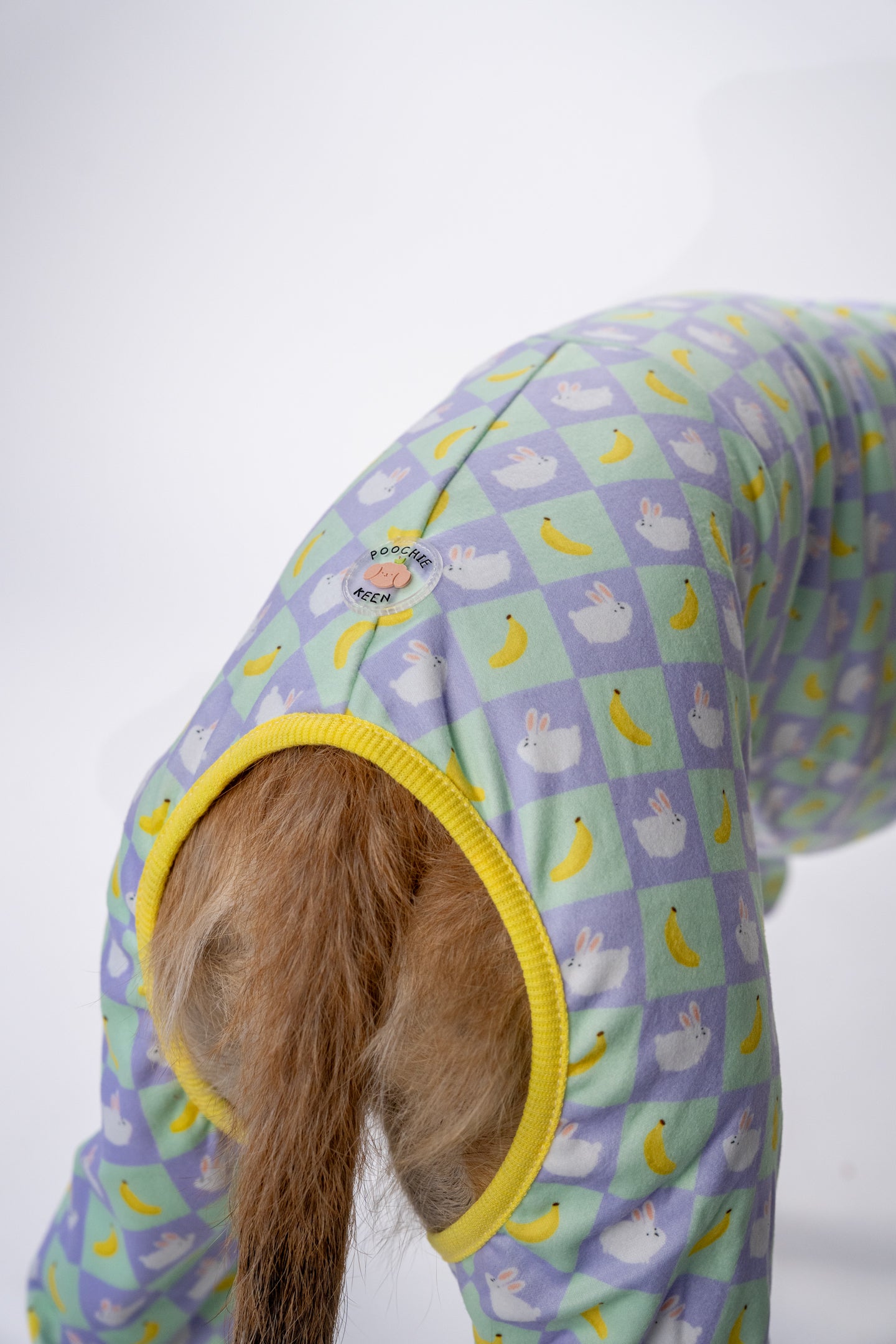 the back of the dog pj's modelled by a lurcher showing the active sighthound clothing and comfortable fit.