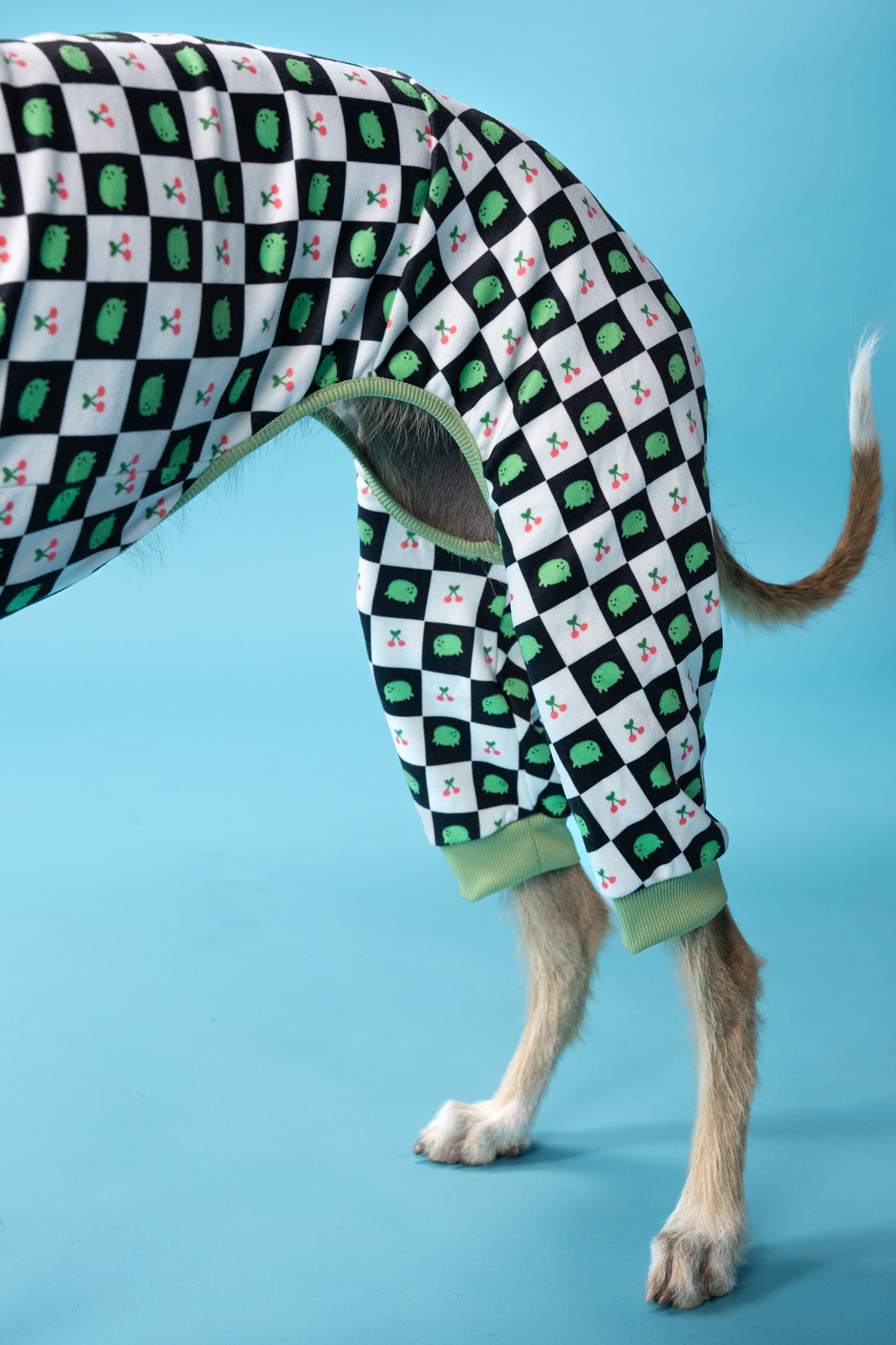 Tailored dog pajamas for narrow-bodied breeds, close-up of back seam and breathable material.