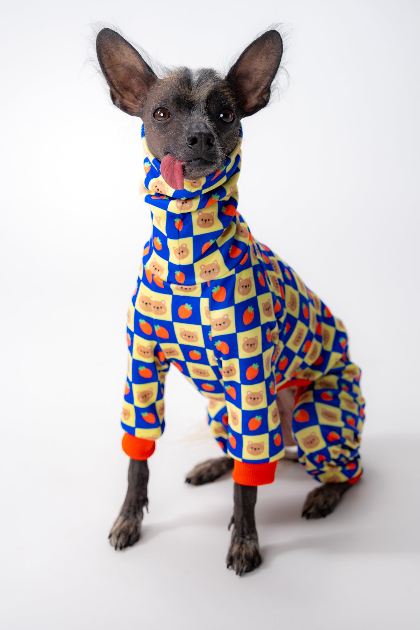 hairless dog clothing modelled by a xolo. the dog oneise is bold, playful and unique with a cartoon pattern.