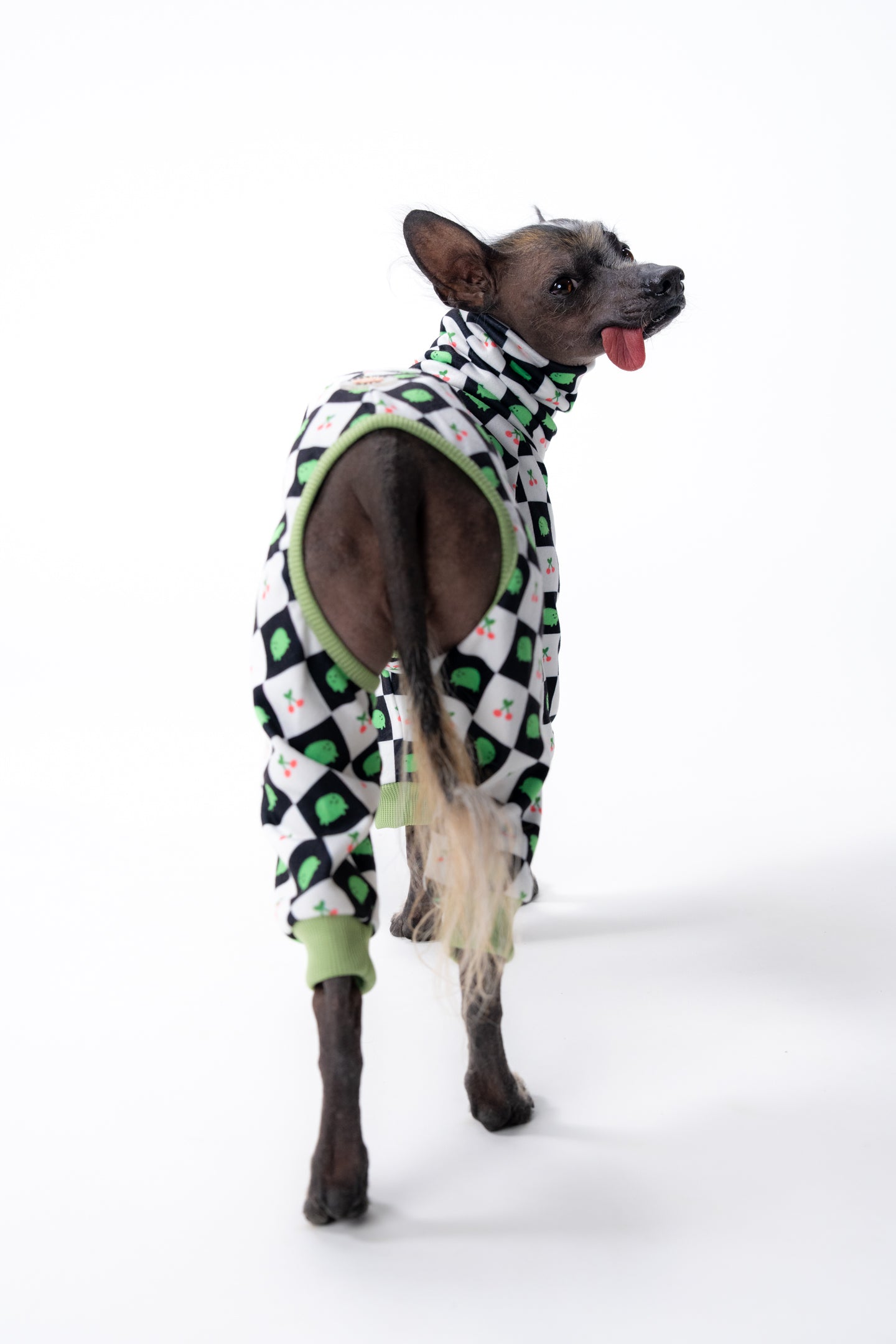 Rear angle of Xolo in red bear-print onesie, showing leg seams and tail opening.