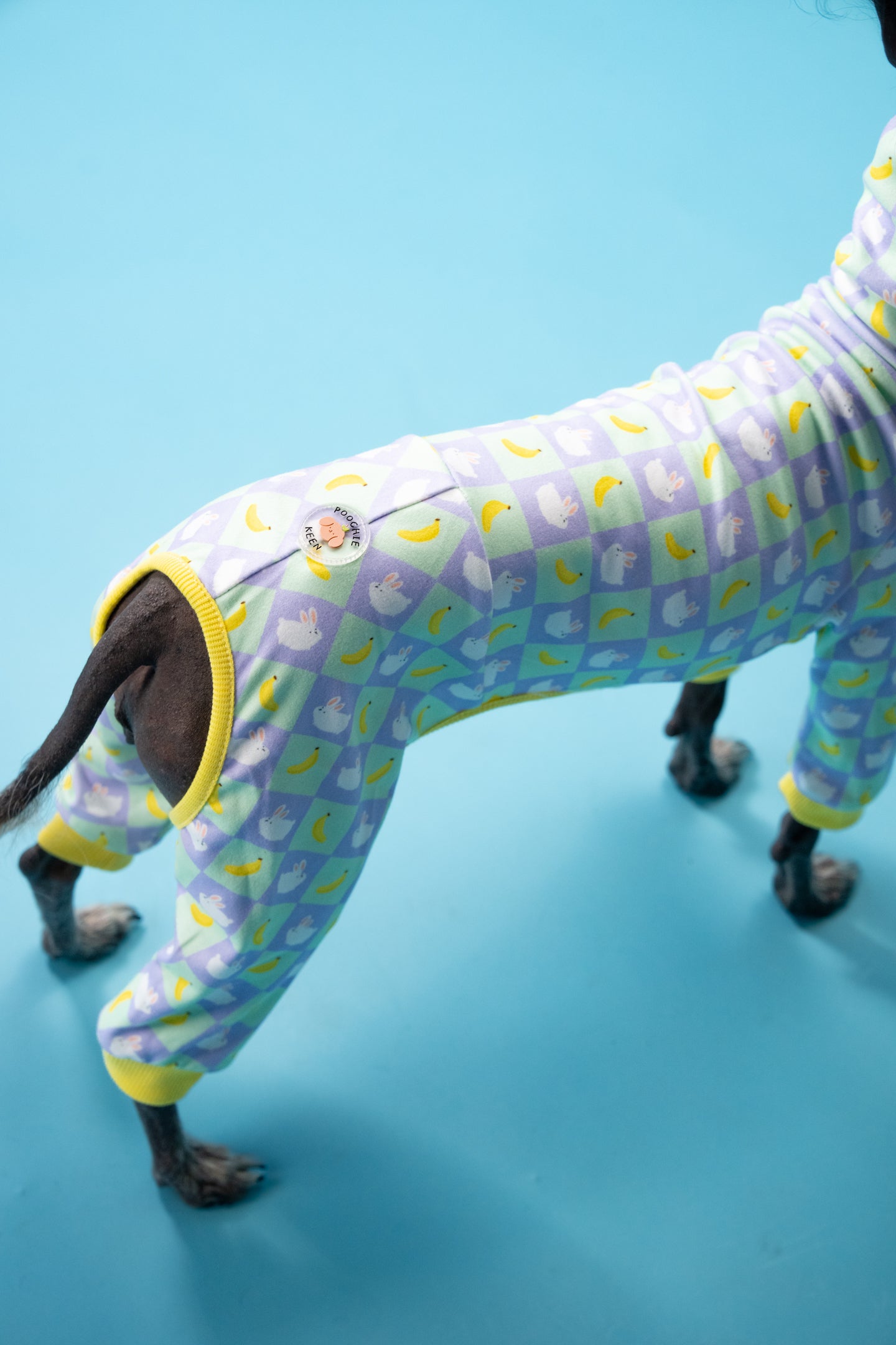 premium dog all-in-one seen on a small dog. the pattern is chic and stylish.