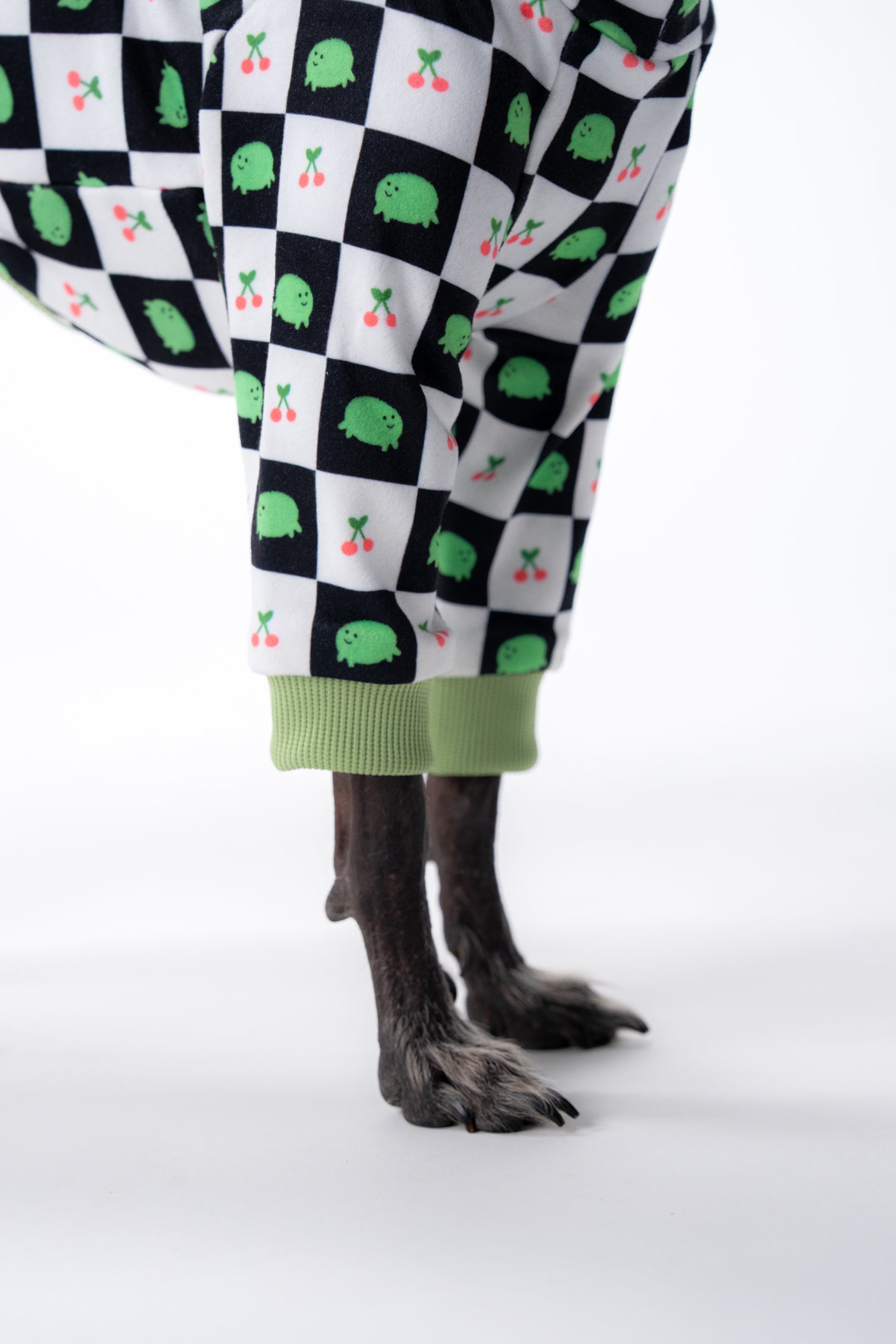 Sighthound dog clothing perfect for sensitive skin, modelled by hairless Xolo.
