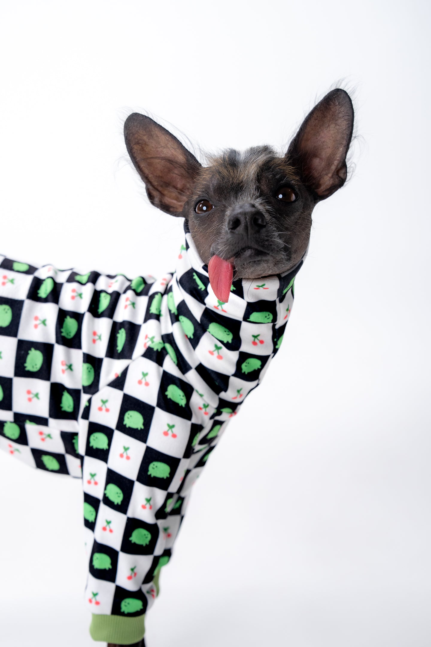 Close-up of frog and cherry dog pajamas for sighthounds, made with soft, quick-drying fabric.