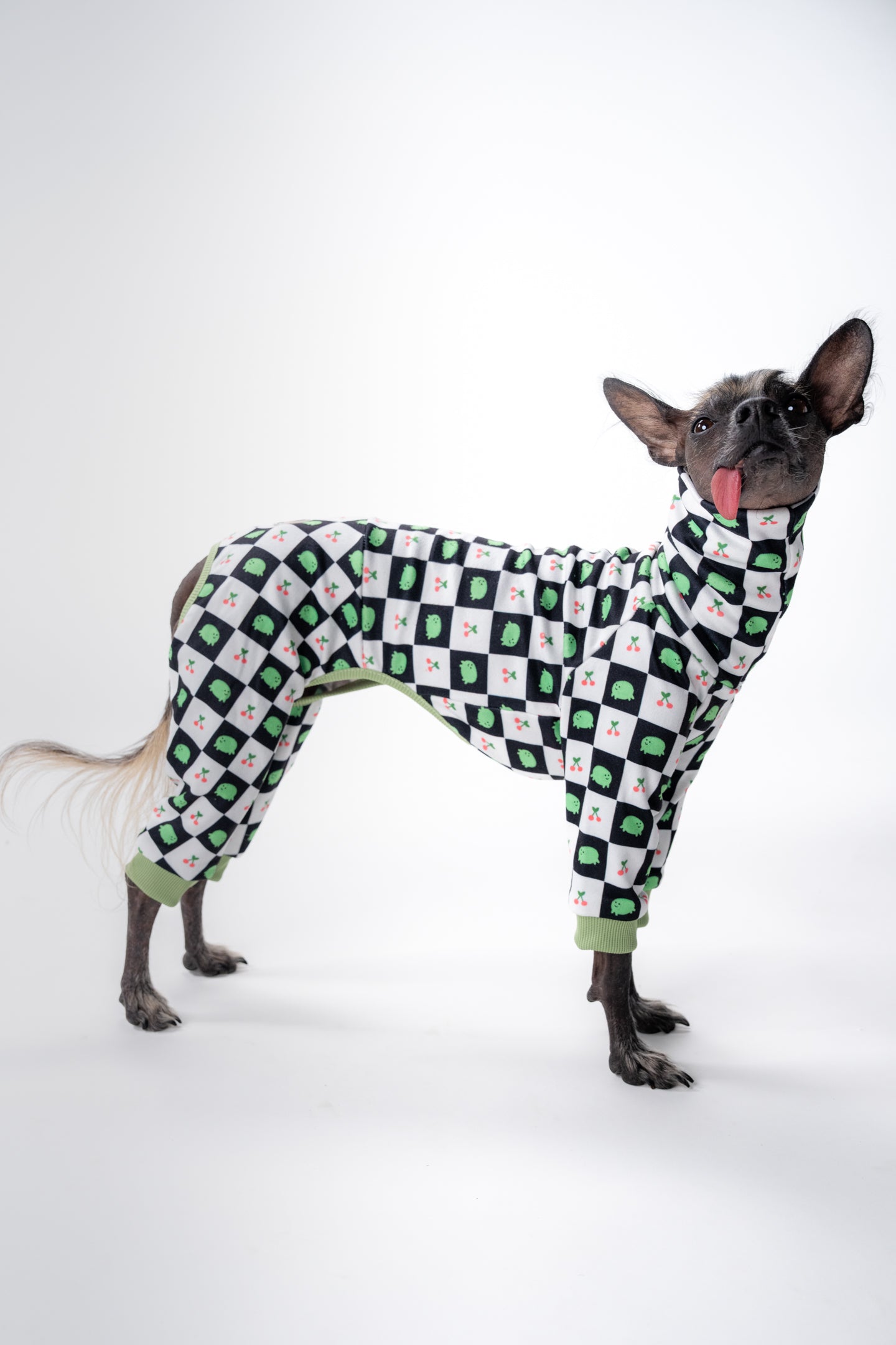 a xolo wearing cute small dog frog pajamas, showing the suit hems and toilet friendly design.