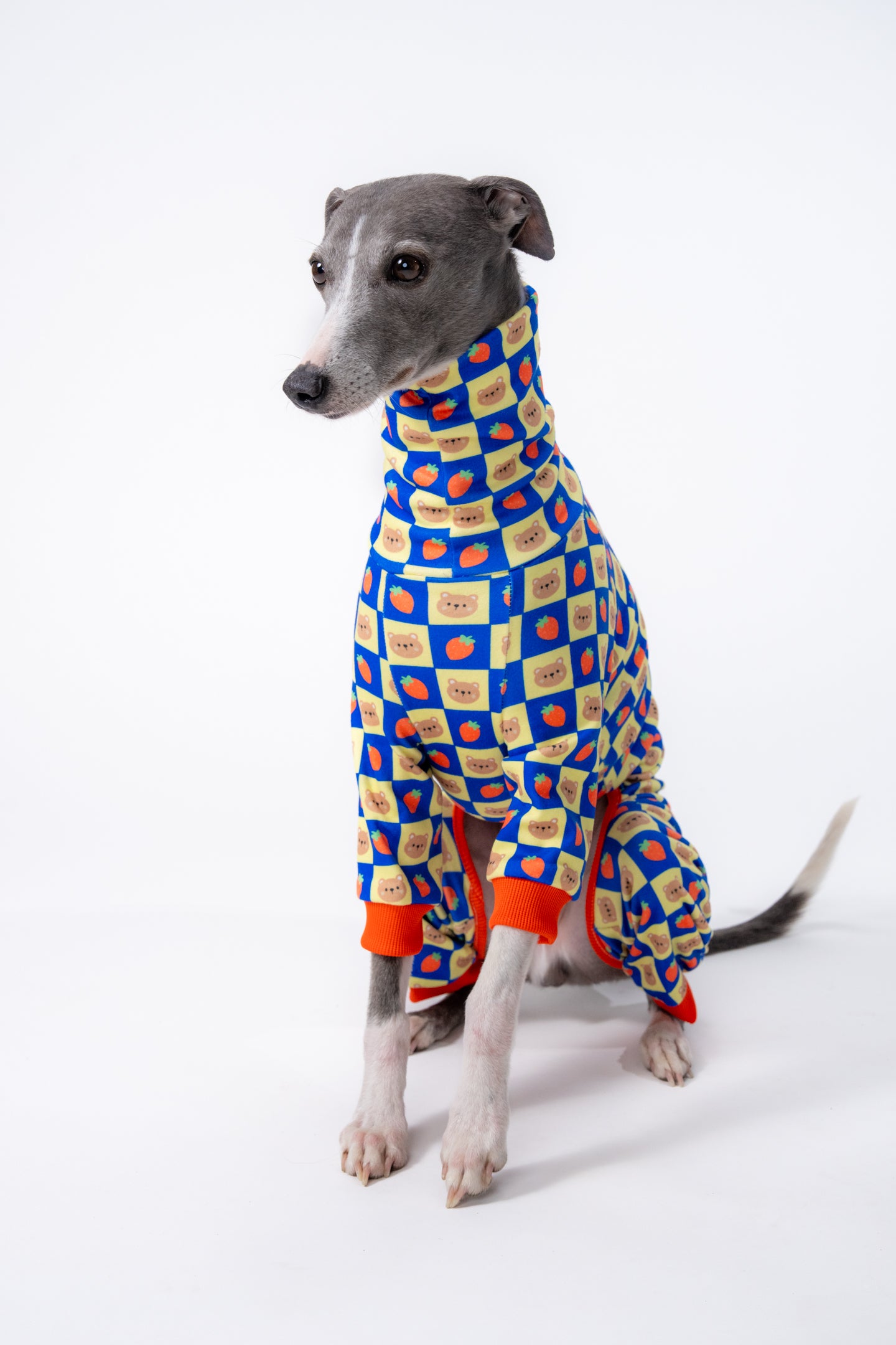 Side profile of whippet wearing the bear Poochie Suit, showing full leg and neck coverage.