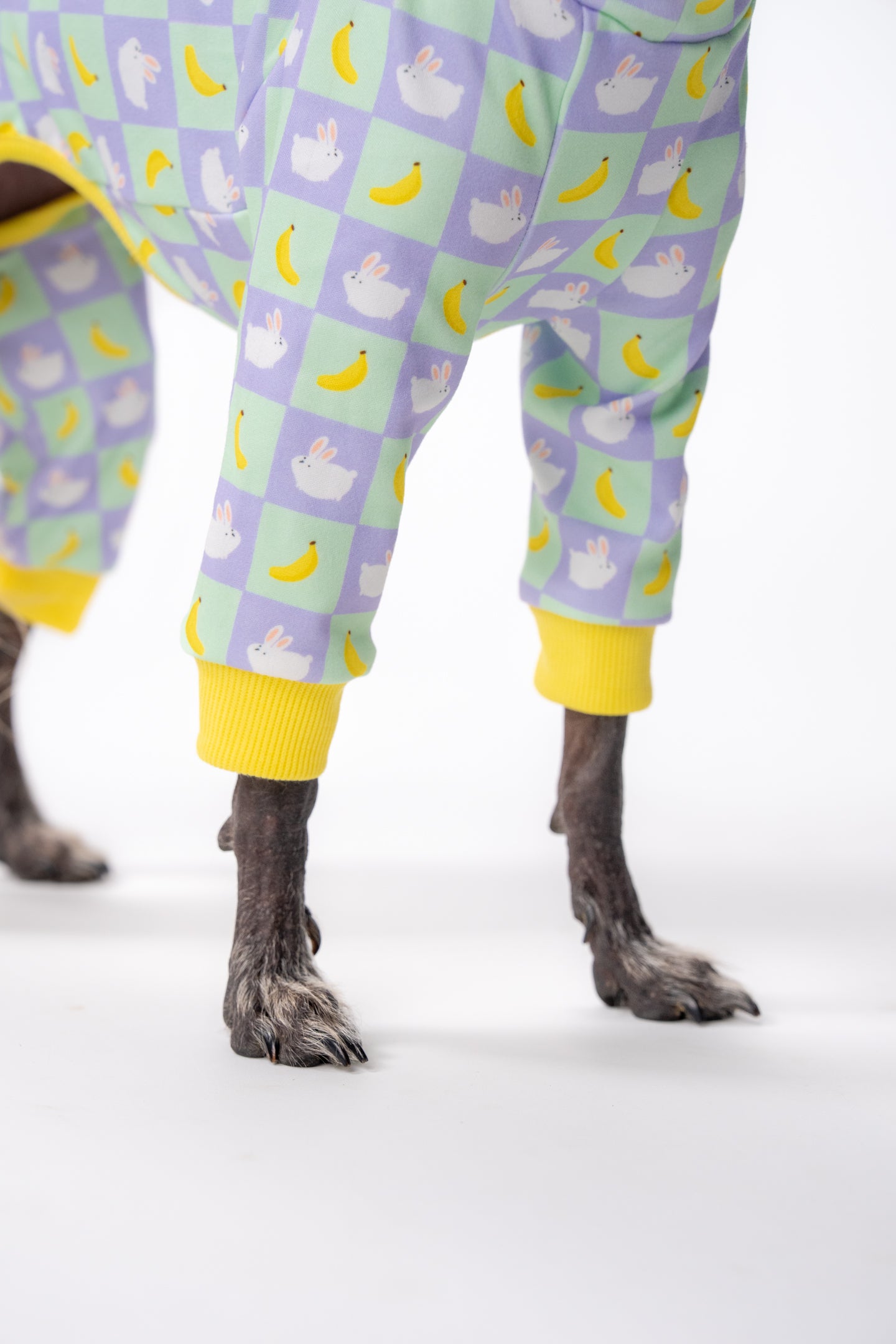 slip on dog clothing with a unique pattern modelled by a mexican hairless dog. the dog pj's have bunny and banana patterns and are purple, green and yellow.
