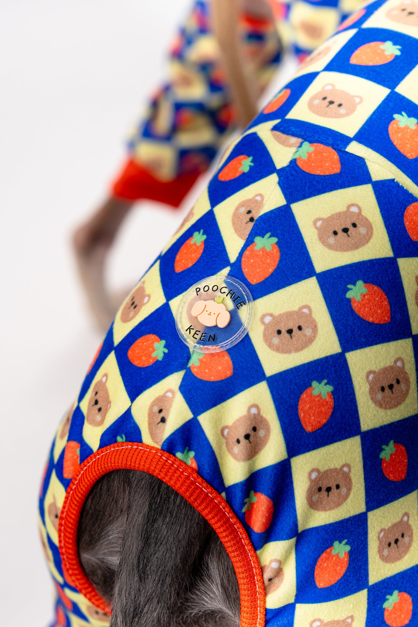 close up of the colourful and bright dog clothing.