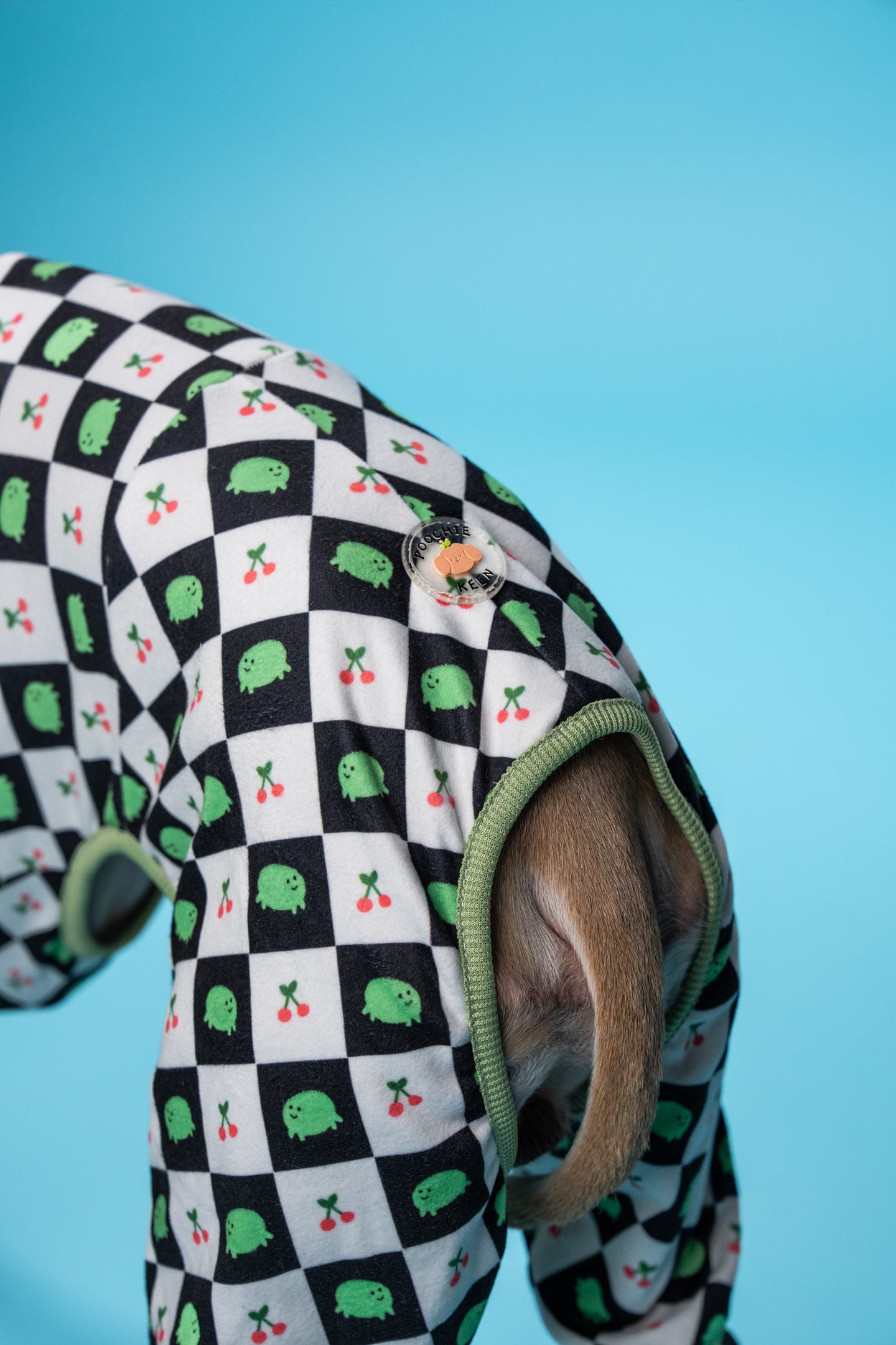 Playful and adorable frog-print pajamas on a Whippet, made for sighthounds with narrow builds.