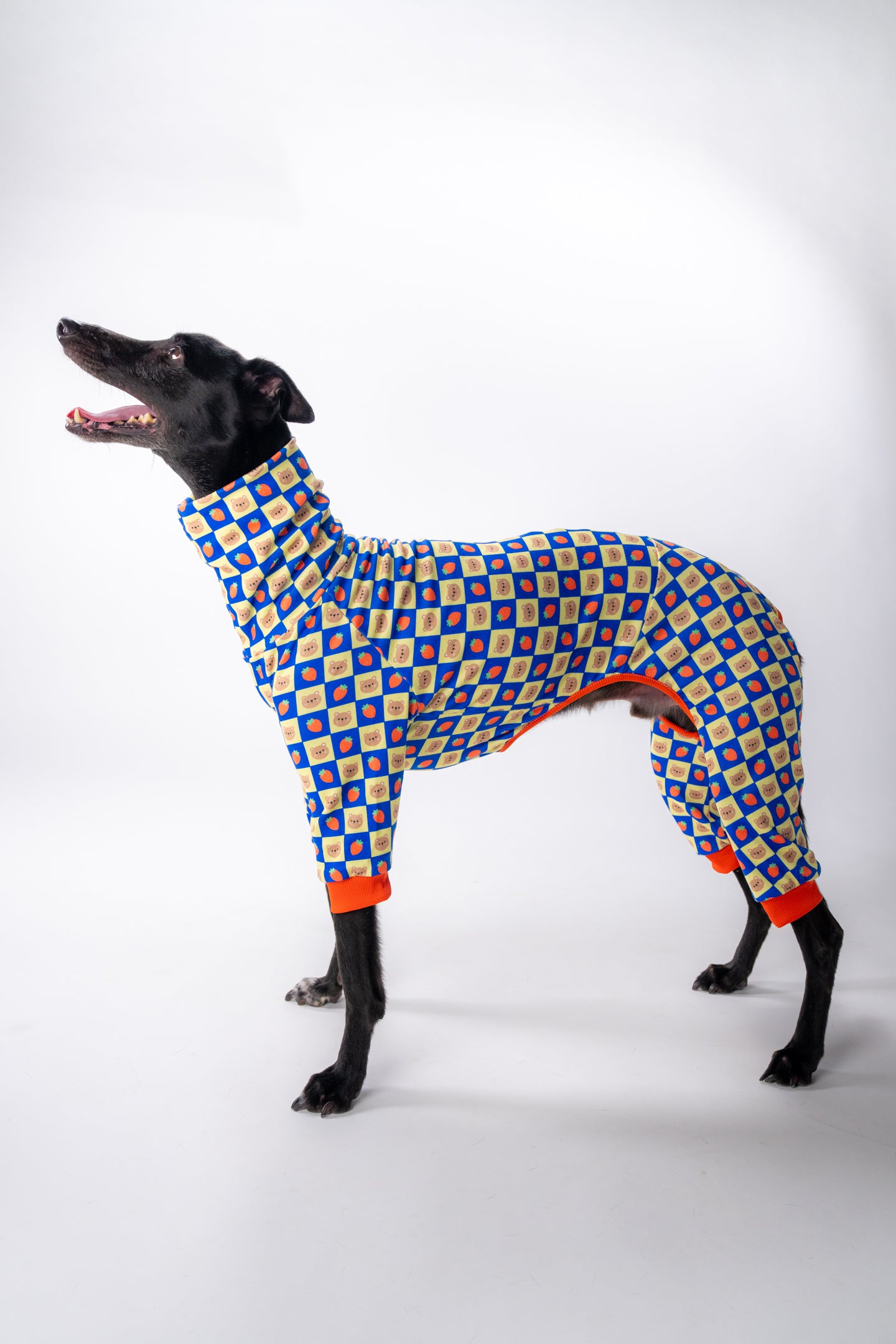 XL dog modelling our adorable sighthound dog pj's. the onesie is fitted and is 4-legged. the pattern is bears and strawberries.