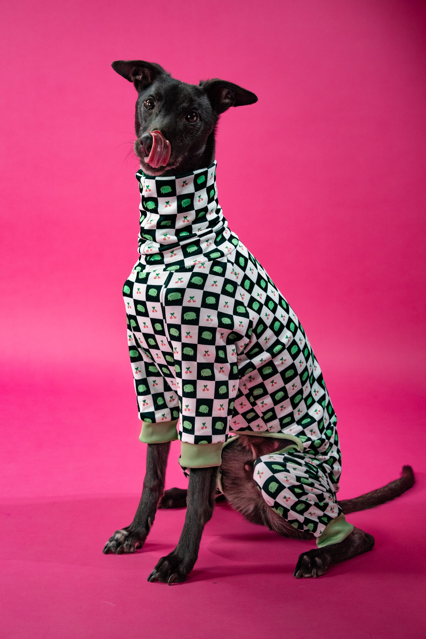 Greyhound cross whippet wearing frog-print dog onesie, ideal for slender, deep-chested breeds.