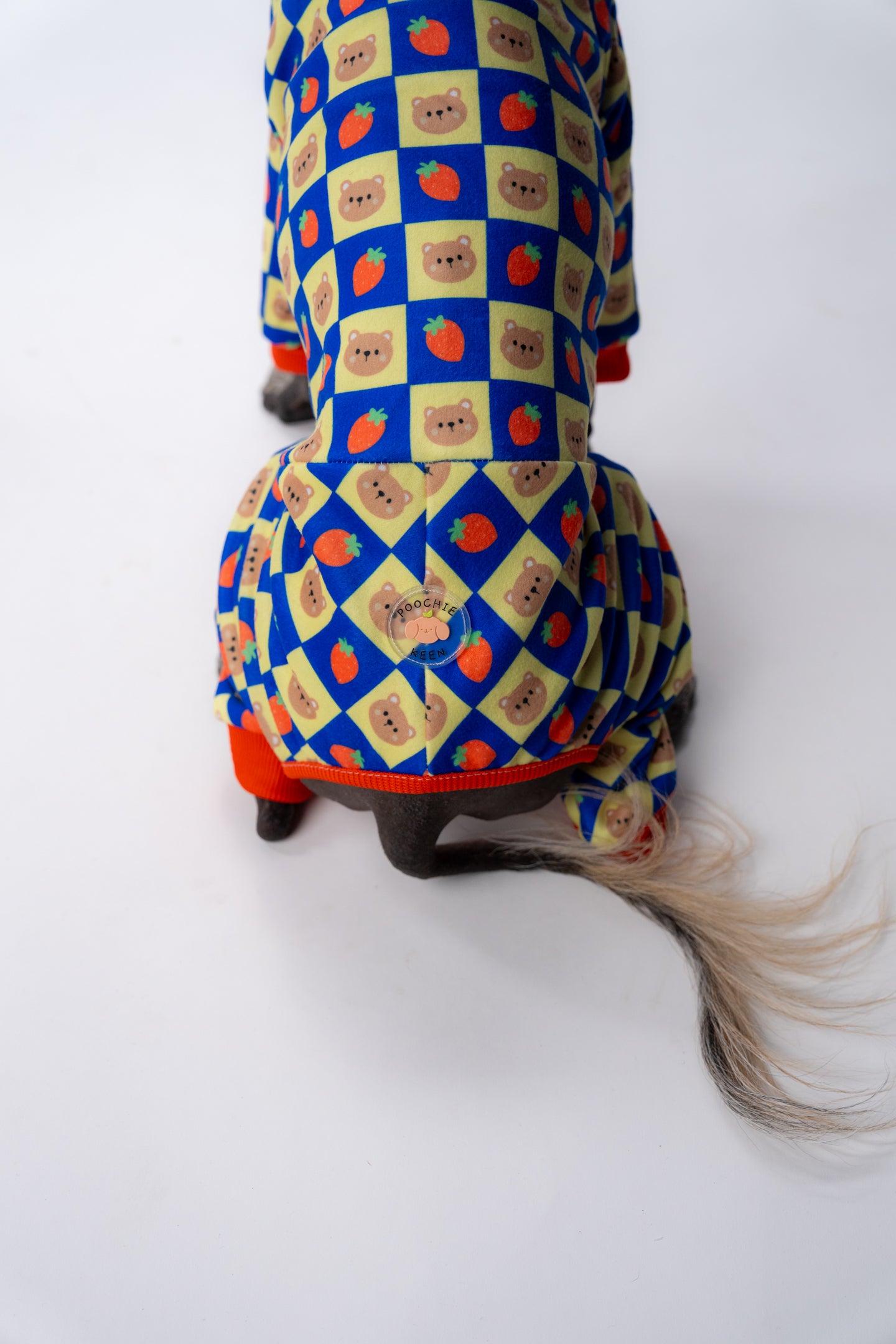 close up showing our xolo pj's and fitted dog suit design
