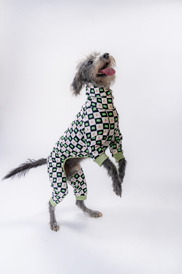 a beddy whippet wears out super soft frog and cherry print dog clothing.