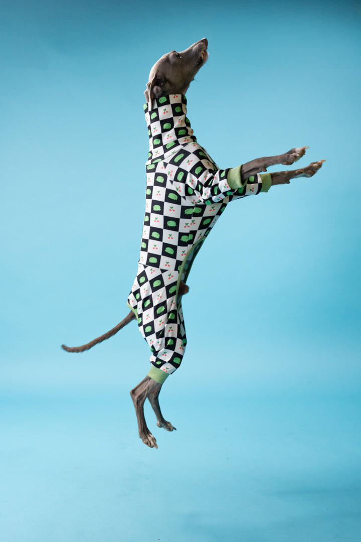 iggy clothing in motion, showing a dog jumping in the air and zooming in a snuggly dog oneise with frog patterns.