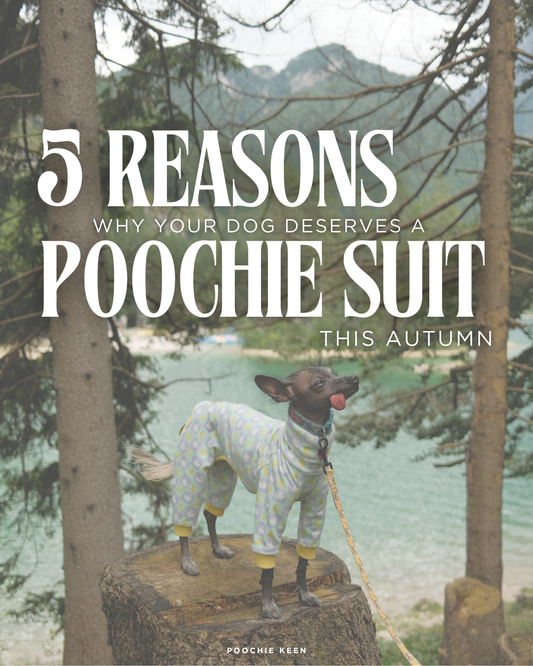 Suit Season is officially here! 🍁