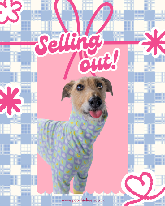 lurcher in a christmas bunny and banana print dog onesie