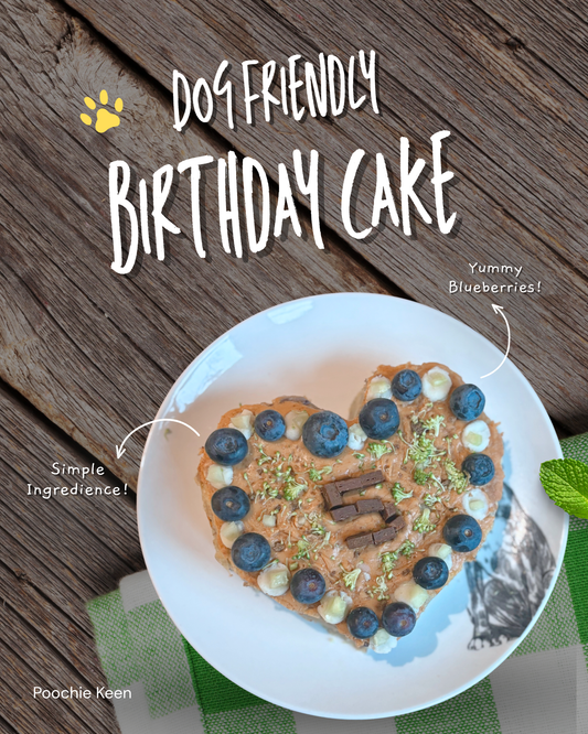 a homemade cake for dogs on a kitchen table