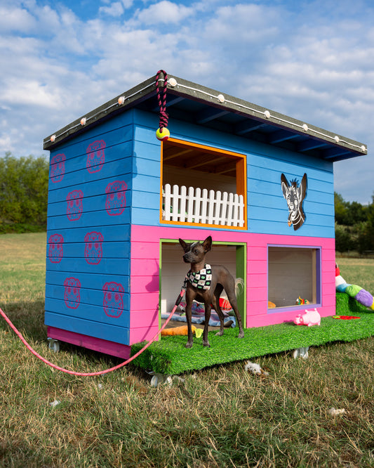 Chicken’s Custom DREAM House: Built by Kon 🎥🐕✨