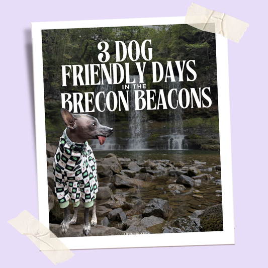 3 Dog-Friendly Days in the Brecon Beacons: Walks, Waterfalls & Adventure