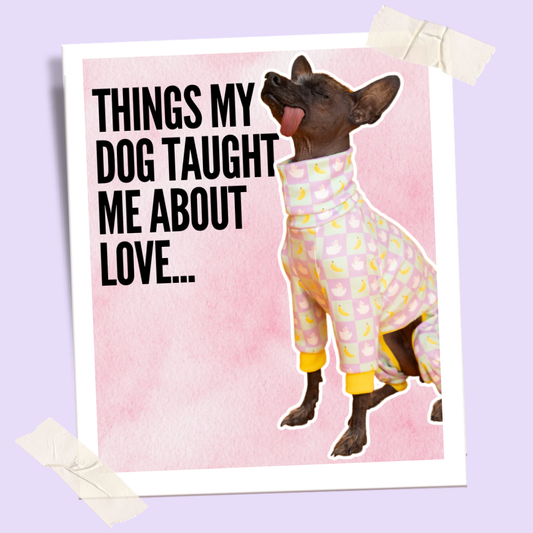Things My Dog Taught Me About Love
