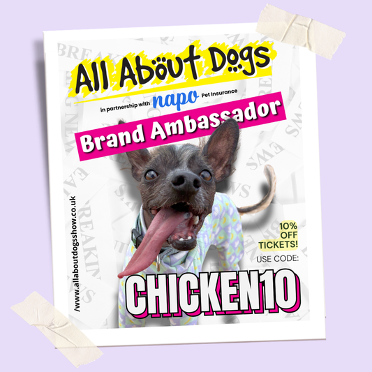 All About Dogs Show 2026 Discount Code: Norfolk & Knebworth Get 20% Off Tickets with CHICKEN20