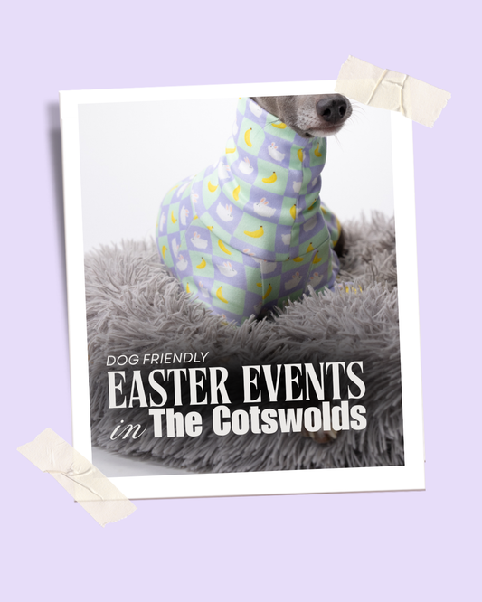 Dog-Friendly Easter Events in the Cotswolds 2026