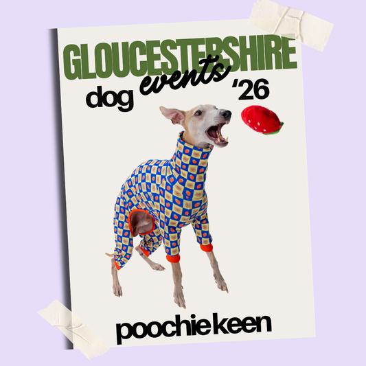 Best Dog Shows & Dog Events in Gloucestershire 2026 | Fun Dog Days Out Near The Cotswolds