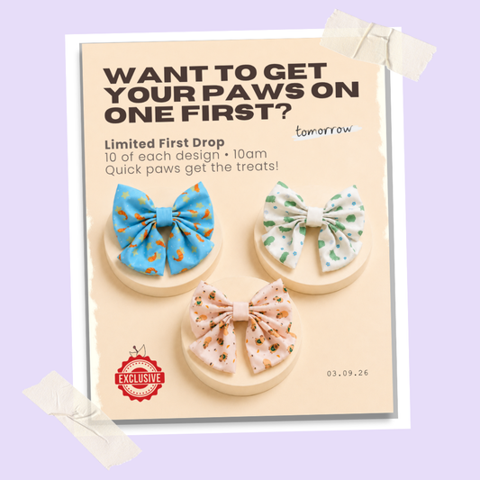 poochie keen dog sailor bow accessories announcement for more dog breeds 