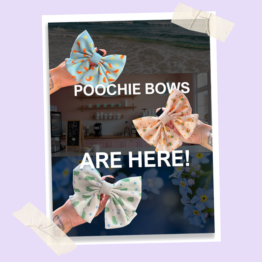 Poochie Keen Sailor Bows Are Here! Meet Our New Dog Bows 🎀
