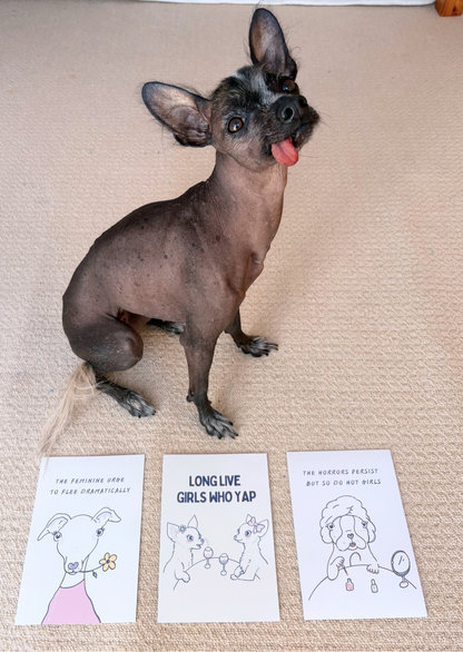 The Horrors Persist But So Do Hot Girls | Whimsical Boston Bulldog Art Print