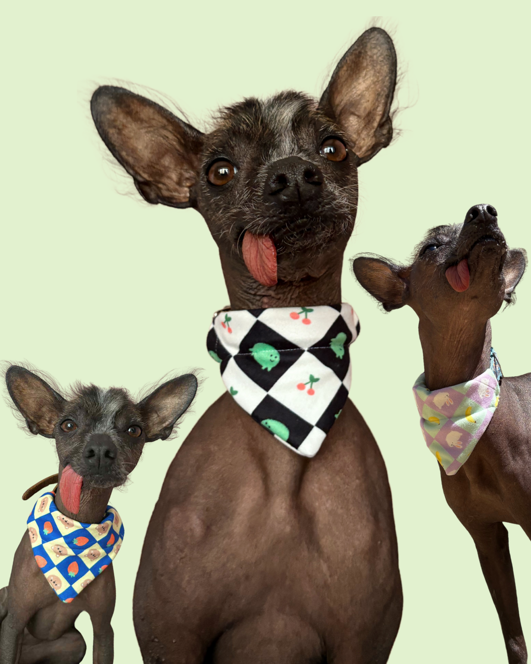 Bandanas!