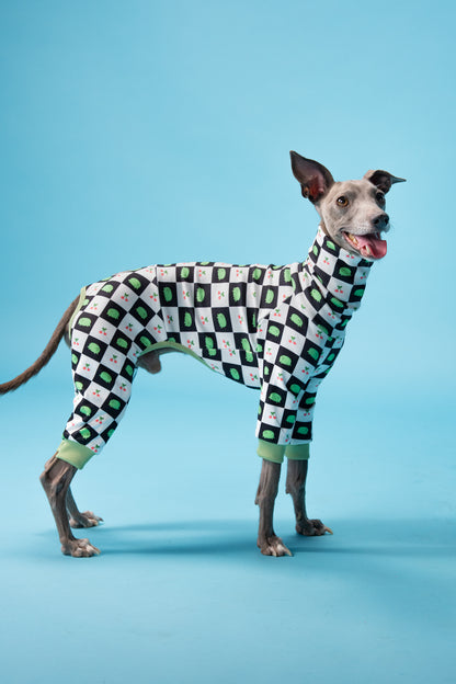 Italian Greyhound in a frog and cherry pattern onesie with a soft turtleneck collar.