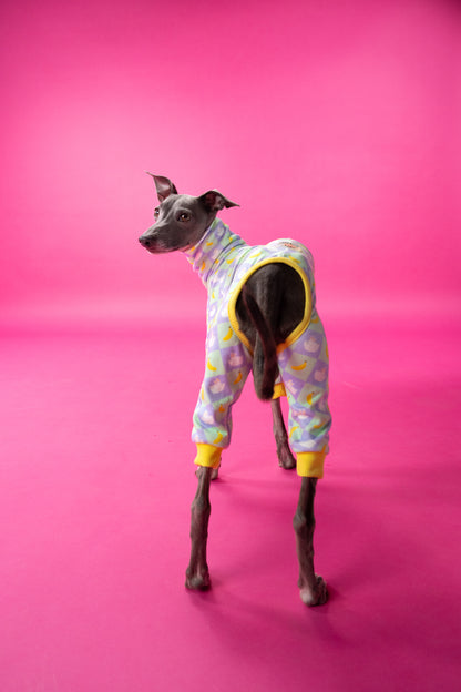italian greyhound pyjamas  back-view. the material is soft and stretchy. 