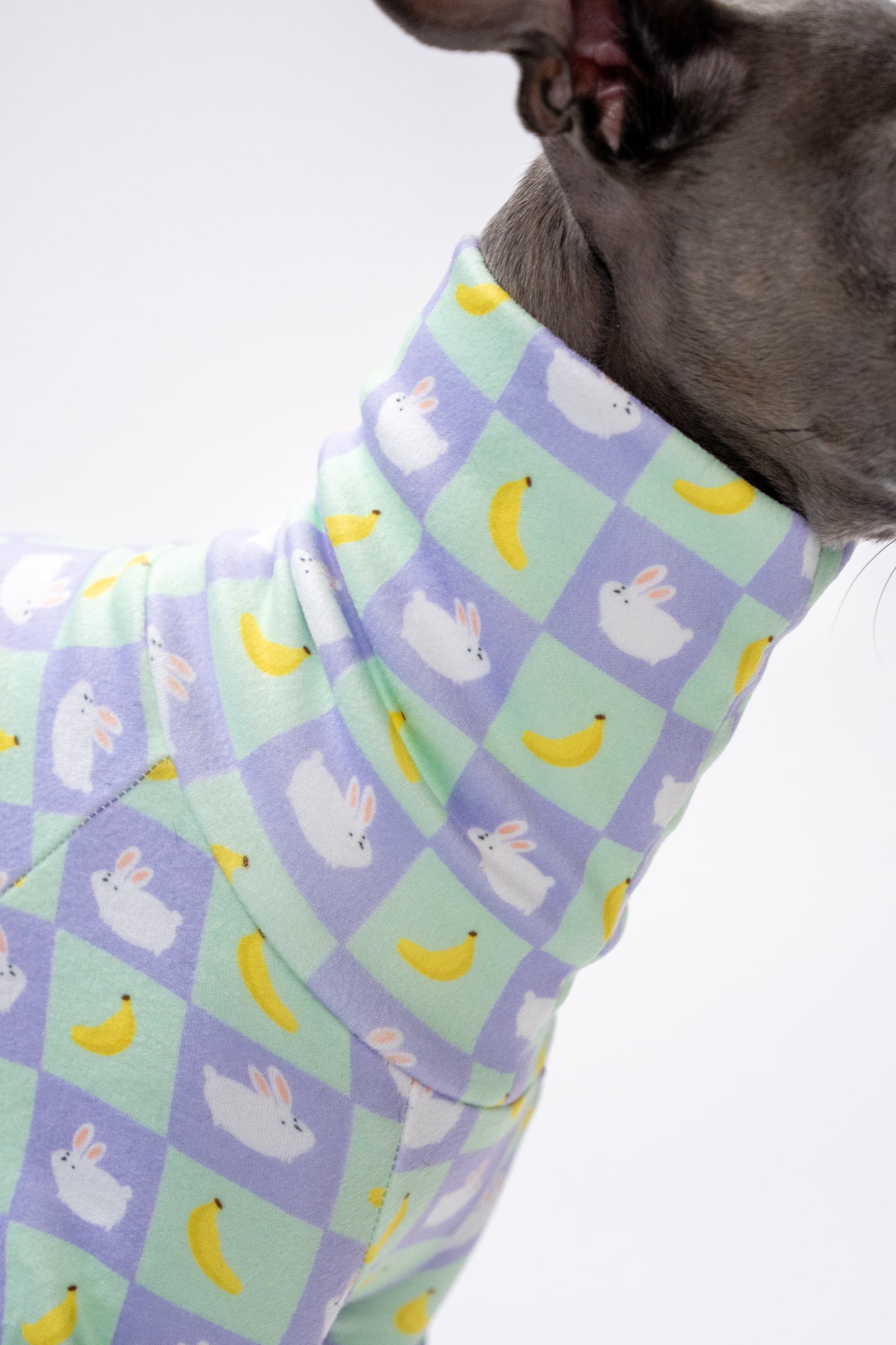 close up of the animal and fruit dog turtleneck, keeping dogs warms in cold weather. 