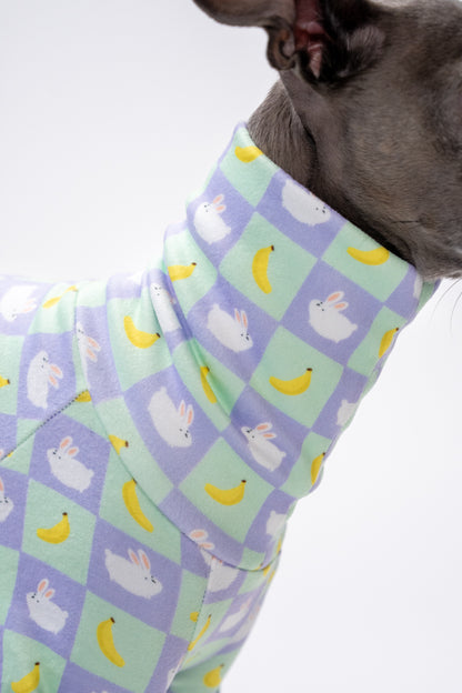 close up of the animal and fruit dog turtleneck, keeping dogs warms in cold weather. 