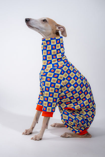 a medium dog in our sighthound specific dog clothing. the pattern is funky. 