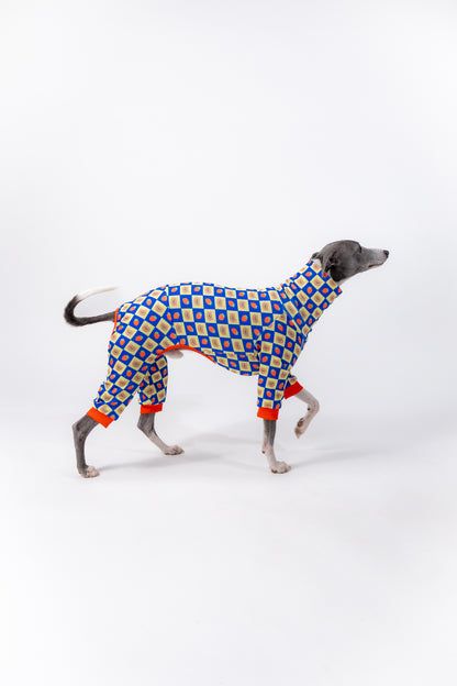 a whippet walking in our bear and strawberry cute dog clothing. 