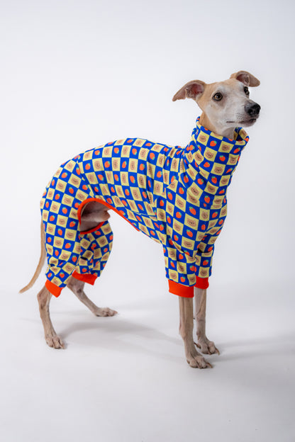 a whippet in our unique dog outerwear. showing the slip on design on a deep-chest. 