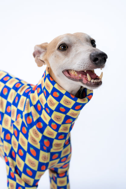 smiling whippet in soft red dog pajamas with playful cartoon bear design, in a studio.