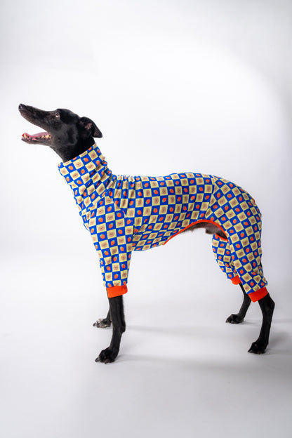 XL dog modelling our adorable sighthound dog pj's. the onesie is fitted and is 4-legged. the pattern is bears and strawberries. 