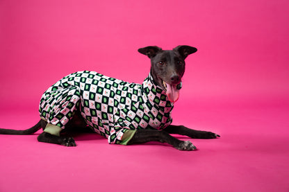 greyhound wearing Poochie Keen's Frog Cherry suit while relaxing, showing full stretch and fit.