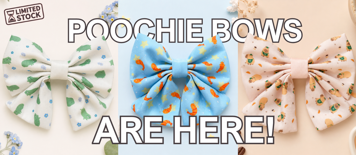 announcement of Poochie Keen sailor bows limited edition dog accessories 