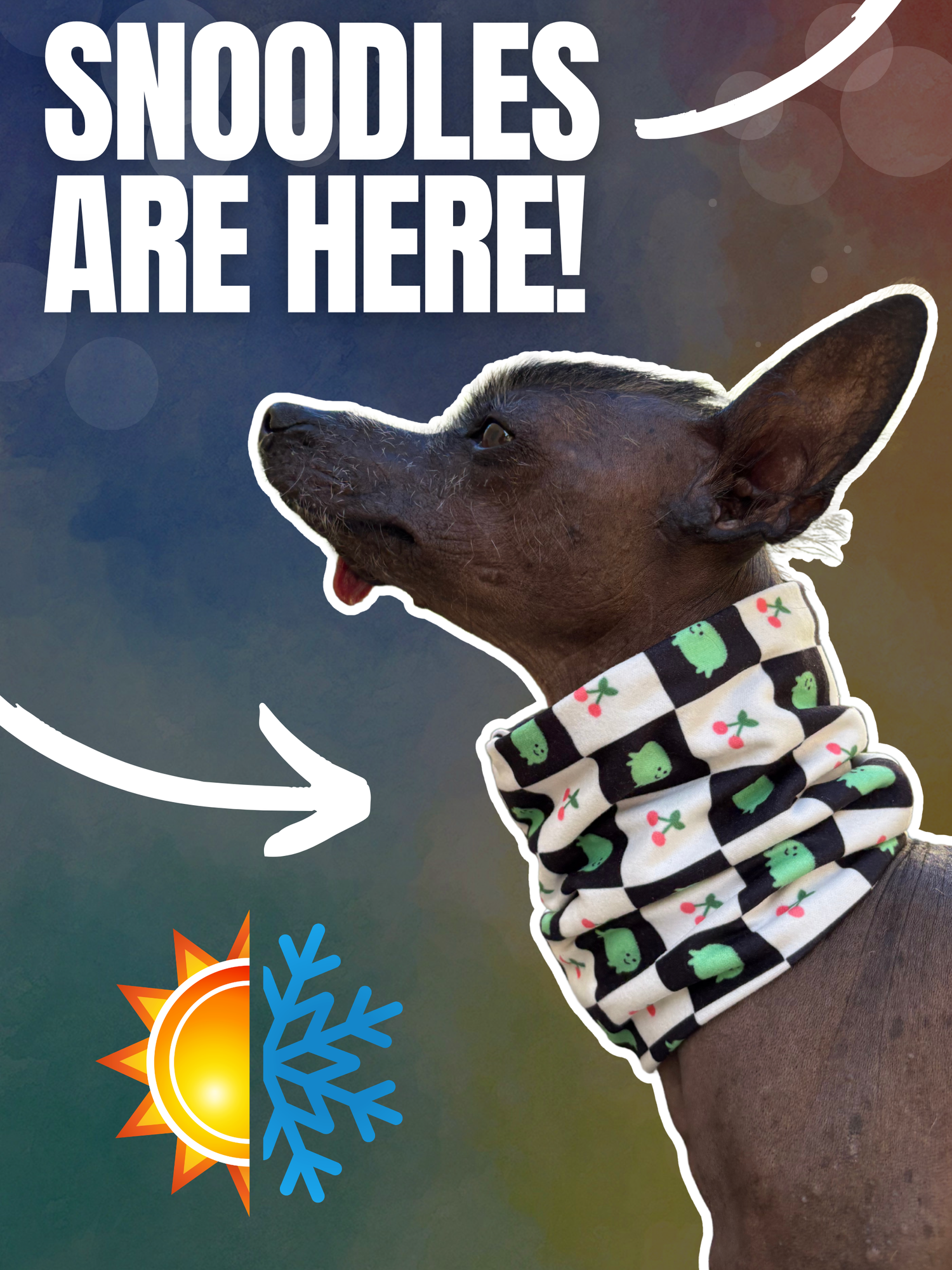 Whippet wearing a lightweight cooling dog snood that can be chilled in the freezer for hot summer weather like a cool mat 